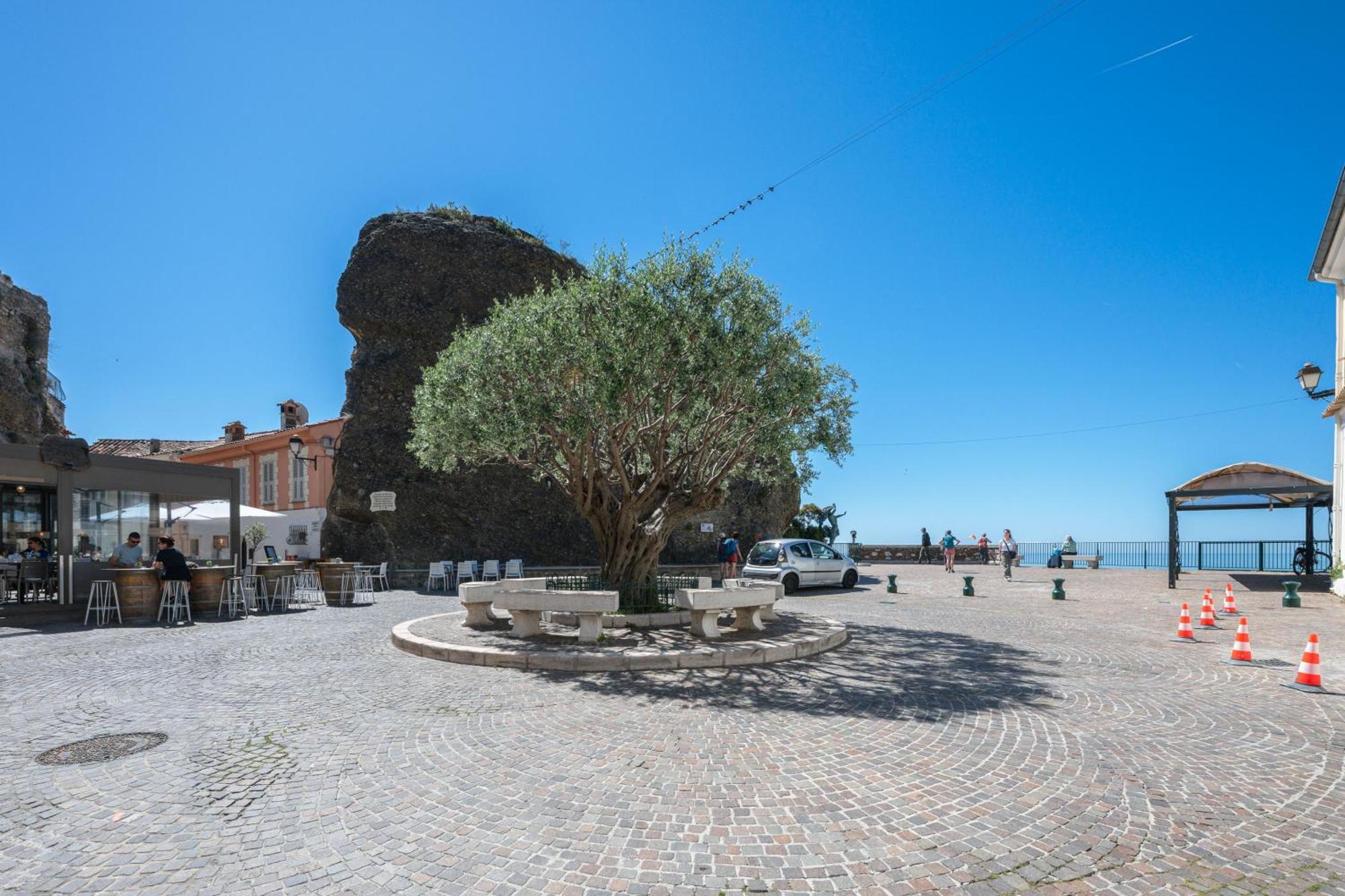 Le Coq Grimaldi - Wifi - Air Conditioning - Quiet Roquebrune-Cap-Martin Kültér fotó